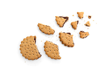 Sandwich cookie with chocolate cream and hazelnuts isolated on white background.