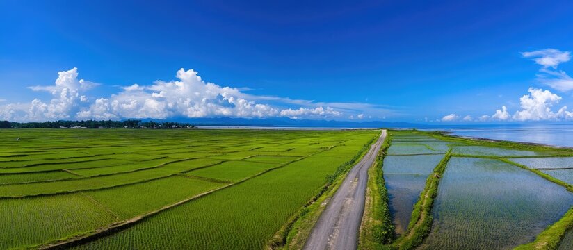 Scenic coastal road dividing lush paddy fields and tranquil sea under a clear blue sky in Tanjung Piandang Parit Bundar.