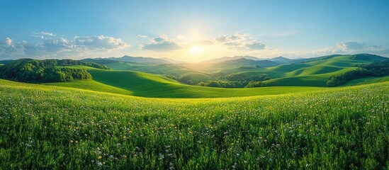 Obraz premium Vibrant green spring field under a bright sky with rolling hills and a warm sun shining in the background showcasing nature's beauty.
