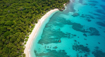 aerial view of tropical beach