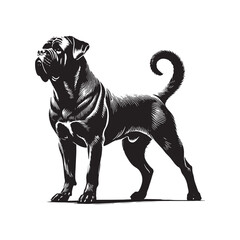 Cane Corso silhouette highlighting the breed’s noble and protective nature - Cane Corso illustration - minimal Cane Corso vector - dog silhouette
