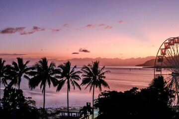 Pink sunset over the Coral Sea and palm trees along Cairns Esplanade — Far North Queensland, Australia