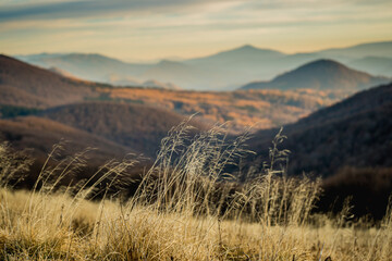 Obraz premium Scenic autumn landscapes from a trekking loop in Bieszczady, featuring views from Tarnica, Halicz, Rozsypaniec, Bukowe Berdo, Połonina Wetlińska, and the Ukrainian Bieszczady under a clear blue sky
