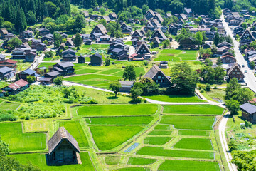 夏の白川郷