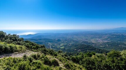 Breathtaking Aerial View of Lush Green Hills Rolling Down to the Expansive Blue Ocean : Generative AI