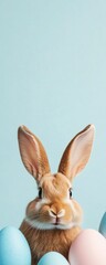 Obraz premium Pastel Easter Charm Curious Rabbit with Artisan Eggs on Soft Blue - Spring Celebration and Digital Marketing Visuals for Festive Branding