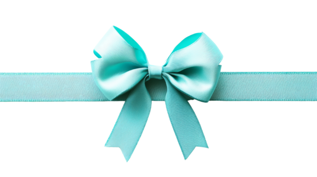 Elegant Aqua Blue Satin Ribbon Bow and Band Gift Wrap Decoration Festive Present