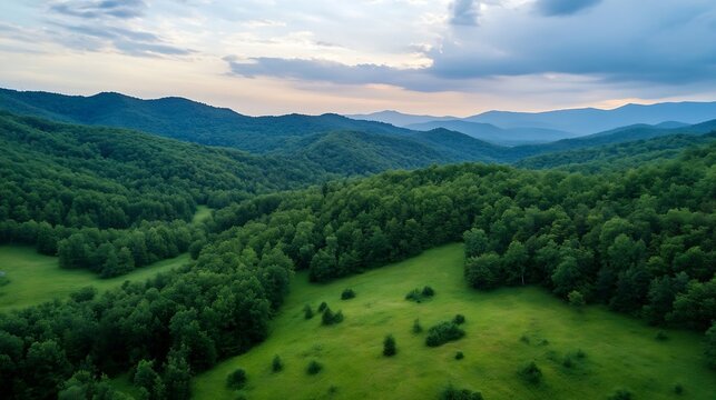 Aerial view of lush green hills and valleys under a cloudy sky at sunset : Generative AI
