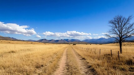 Obraz premium Wide expansive view of a dirt path leading through golden grassland under bright blue sky : Generative AI