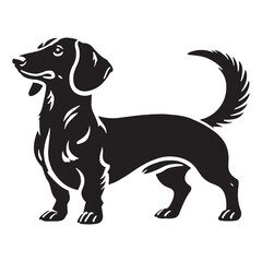Elegant Dachshund silhouette with well-defined posture and balance - Dachshund illustration - minimal Dachshund vector - dog silhouette

