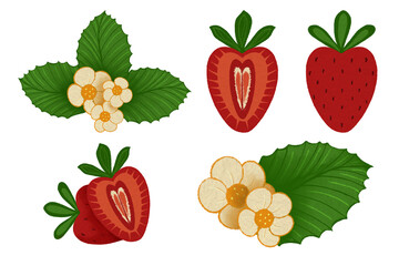 Strawberry illustration set featuring whole and sliced berries, green leaves, and small cream flowers with orange centers. Vibrant red, green, cream, and orange tones with a textured, artistic style.
