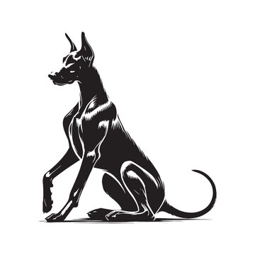 recommend clip art: Graceful Doberman Pinscher silhouette with a minimalist approach - Doberman Pinscher illustration - minimal Doberman Pinscher vector - dog silhouette
                    