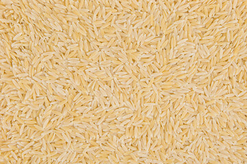 uncooked orzo pasta background,  rice shaped pasta, top view