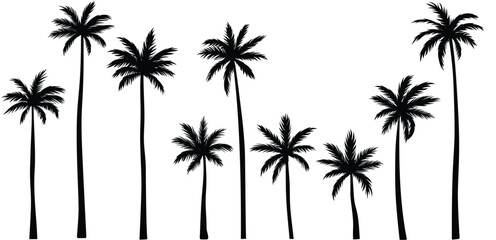 Black palm tree set vector illustration isolated on white background silhouette art black white stock illustration logo icon png. tropical, beach, landscape, pattern, paradise, coconut background