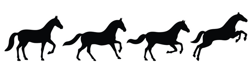 Horse shadow. Animal silhouettes on white background. Zodiac animal for design, card, sticker, calendar, website, Application. Vector illustration.