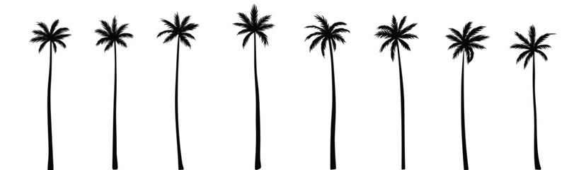 Black palm tree set vector illustration isolated on white background silhouette art black white stock illustration logo icon png. tropical, beach, landscape, pattern, paradise, coconut background