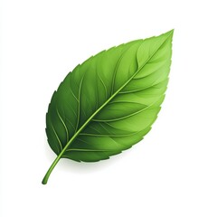 Fototapeta premium A simple green leaf icon, featuring a soft, petal-like texture, isolated on white