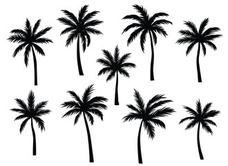 Black palm tree set vector illustration isolated on white background silhouette art black white stock illustration logo icon png. tropical, beach, landscape, pattern, paradise, coconut background