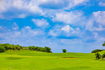爽やかな南国の青空と青い海・ヤシの木と鮮やかな芝が映えるリゾートのゴルフ場（沖縄県宮古島市）