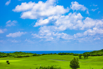 爽やかな南国の青空と青い海・ヤシの木と鮮やかな芝が映えるリゾートのゴルフ場（沖縄県宮古島市）