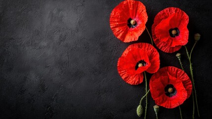 Vibrant red poppies arranged on dark backdrop; evoking remembrance and memorial themes. Ideal for commemorative events and historical projects with somber respect.