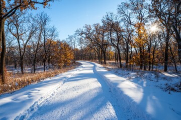 Obraz premium Snow-drenched forest pathway glowing with muted sunlight nature scene outdoor landscape narrow perspective realistic beauty