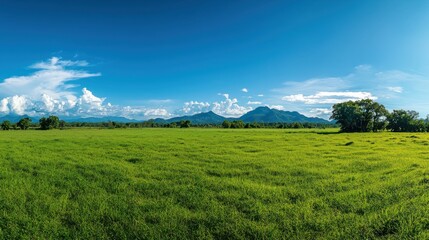 Obraz premium Sustainable agriculture practices lush green farm fields scenic landscape vibrant environment aerial viewpoint eco-friendly concept