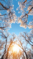 Golden hour icy arboreal scenery winter forest nature photography frosty landscape low viewpoint realistic beauty