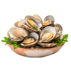 steamed clams