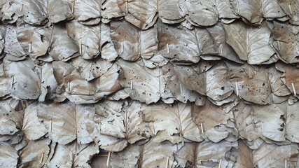 Texture of wall made of brown dry leaves. Dry leaf wall of a cottage in rural Thailand, dark brown in color. Side view.