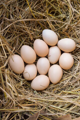 Several fresh white eggs in straw in a cardboard box. Organic chicken eggs. Easter concept.