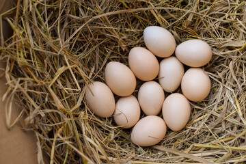 Several fresh white eggs in straw in a cardboard box. Organic chicken eggs. Easter concept.