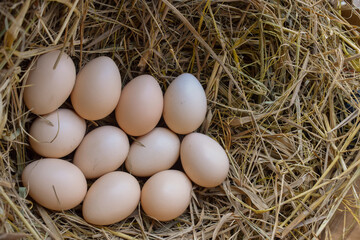 Several fresh white eggs in straw in a cardboard box. Organic chicken eggs. Easter concept.