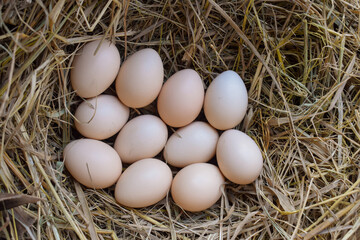 Several fresh white eggs in straw in a cardboard box. Organic chicken eggs. Easter concept.