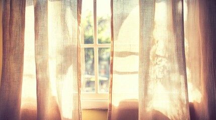 Sunlight streams through sheer curtains illuminating a window.