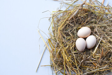 Straw nest containing white eggs, top view isolated on white background. suitable for Happy Easter Decoration, template for tag, gift greeting card, advertising promo shopping banner.
