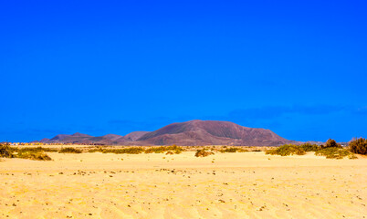 Corralejo Beach on a sunny day