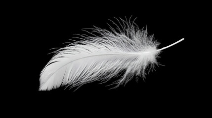 Obraz premium A delicate white feather gracefully glides through the air, embodying tranquility and lightness. Its soft, intricate details capture the beauty of nature's artistry.