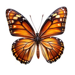 Obraz premium Butterflies isolated on Transparent Background.