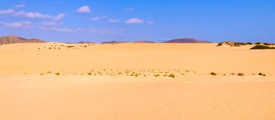 Golden dunes of Corralejo under blue skies