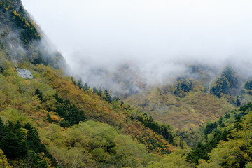 秋の風景