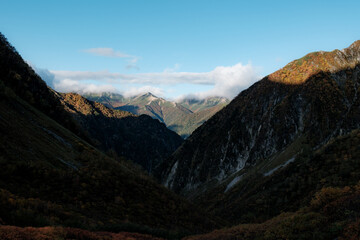 秋の山の風景