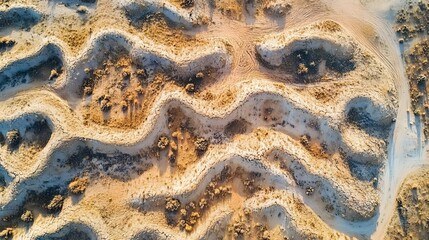 Textured sandy landscape, intricate wave patterns creating natural artistry, perfect for nature or travel-themed projects.