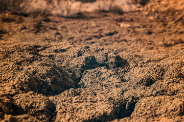 Infrared photography, a close-up view of dry, cracked soil. The texture appears rough and uneven, with various patches of soil highlighted
