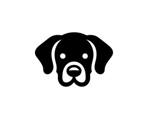 black labrador retriever