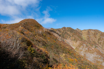 秋の山の風景