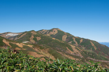 秋の山の風景