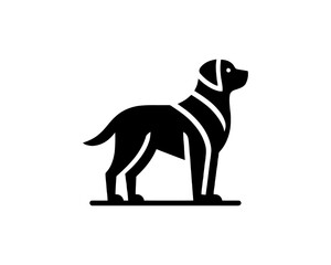 vector illustration of a dog