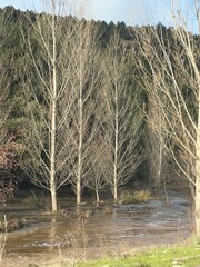 Rio Lobos Canyon (Soria, Spain)
