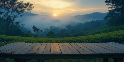 Sunrise over tea plantations scenic landscape nature photography lush green environment serene view tranquility in nature